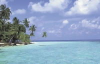 gaya__sapi_island