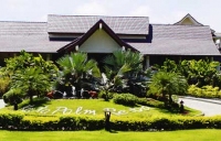 kata_palm_2