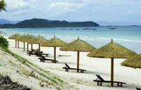 white_sand_doclet_2
